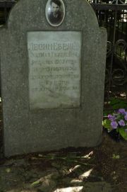 Лесин-Евелев Золман Герешевич, Москва, Востряковское кладбище